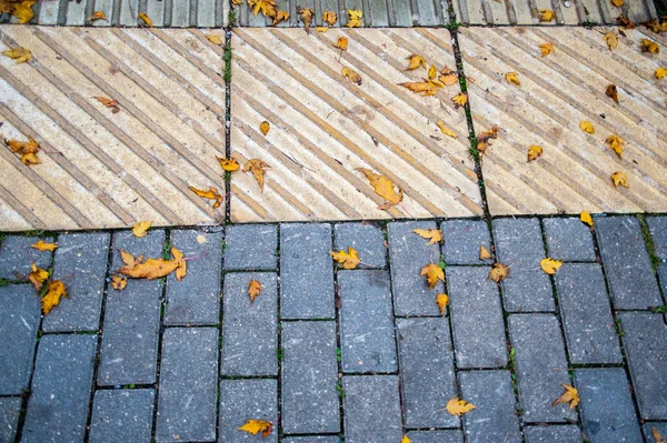 Podzimní Listí Chodníku Pokryté Dlaždicemi — Stock fotografie