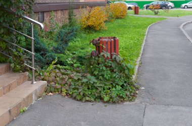 Çöp kutusunun etrafına yapraklar sarılmış asma dalları.