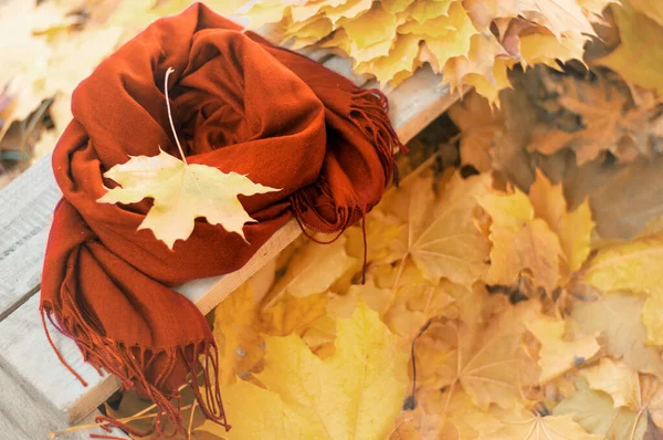 Jesień, opadłe liście klonu na drewnianej ławce w parku, jesienne spacery — Zdjęcie stockowe