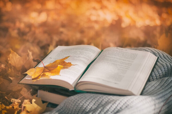 Seasonal autumn reading of books, open book lies on a warm scarf against a background of yellow leaves. High quality photo