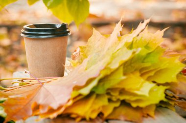 Sonbahar, akçaağaç yaprakları bir buketin içinde bir bardak kahve ya da çayın yakınındaki bir bankta dökülen yaprakların arka planında uzanır.