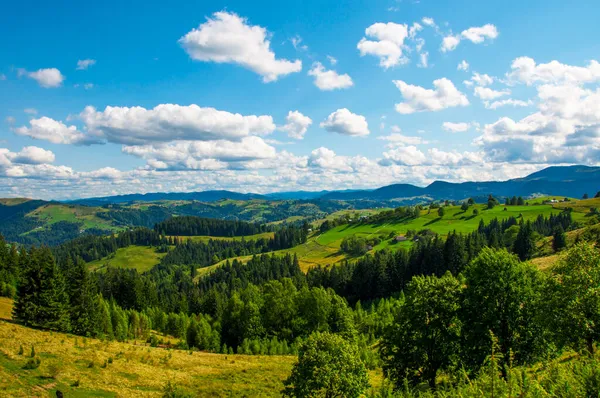Pastwiska młodej zielonej trawy na zboczach gór na tle pięknego błękitnego nieba — Zdjęcie stockowe