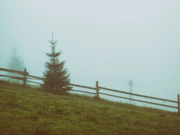 Árvore de Natal solitária perto de uma cerca nas montanhas nebulosas — Fotografia de Stock