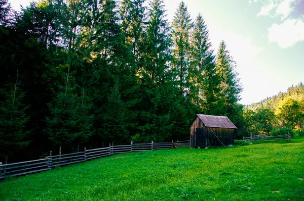 古い柵で囲まれた山の斜面にある緑の草の牧草地 — ストック写真
