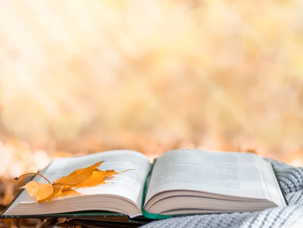 autumn, the book lies on a warm scarf against the background of yellow foliage of trees, selective focus. High quality photo