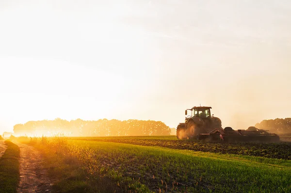 Ein Traktor Auf Einem Feld Pflügt Morgengrauen Den Boden Und Stockbild