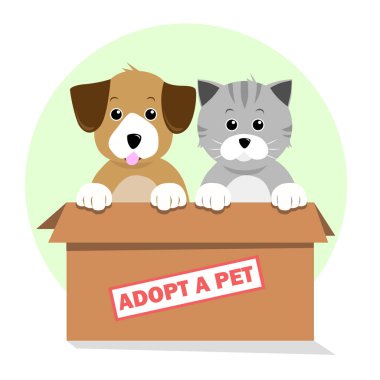 Evcil bir kedi ve köpek evlat edin.