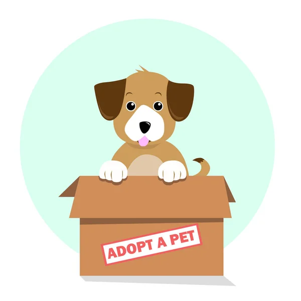 Adopt Pet Dog — Stock Vector