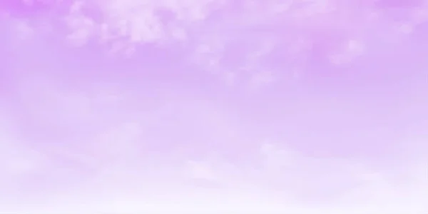 Panorama Cielo Púrpura Claro Suave Detalle Nube Blanca Con Espacio — Vector de stock
