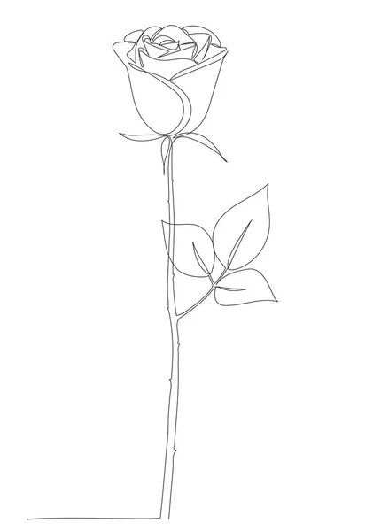 Rose Bloem Icoon Continue Tekening Van Één Lijn Vector Illustratie — Stockvector