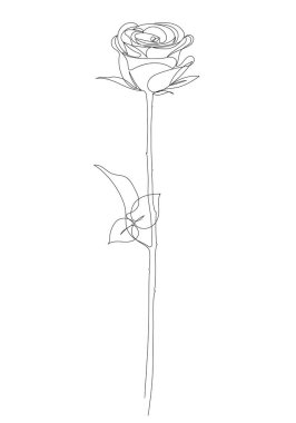 Gül çiçeği ikonu. Sürekli bir çizgi çiziyor. Tişört için vektör illüstrasyonu, vektör illüstrasyonu.