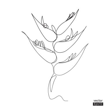 Cennet kuşu çiçek çizgisi sürekli. Minimalist sanat. Bir çizgi. Devamlı çizgi çizimi. Tişört, fincan ve baskı için vektör illüstrasyonuName.