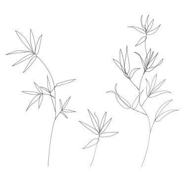 Soyut poster asgari bambu aralıksız çizim yapar. Bir çizgi bambool eaf, doğa konsepti, güzellik minimalisti, tasarım baskısı grafik tarzı, t-shirt için vektör çizimi.