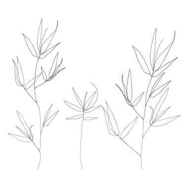 Soyut poster asgari bambu aralıksız çizim yapar. Bir çizgi bambool eaf, doğa konsepti, güzellik minimalisti, tasarım baskısı grafik tarzı, t-shirt için vektör çizimi.
