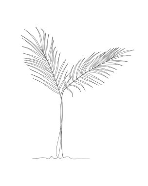 Tropikal yeşil palmiye yaprakları sürekli. Minimalist sanat. Bir çizgi. Devamlı çizgi çizimi. Tişört için vektör illüstrasyonu, vektör illüstrasyonu, yazdırma.