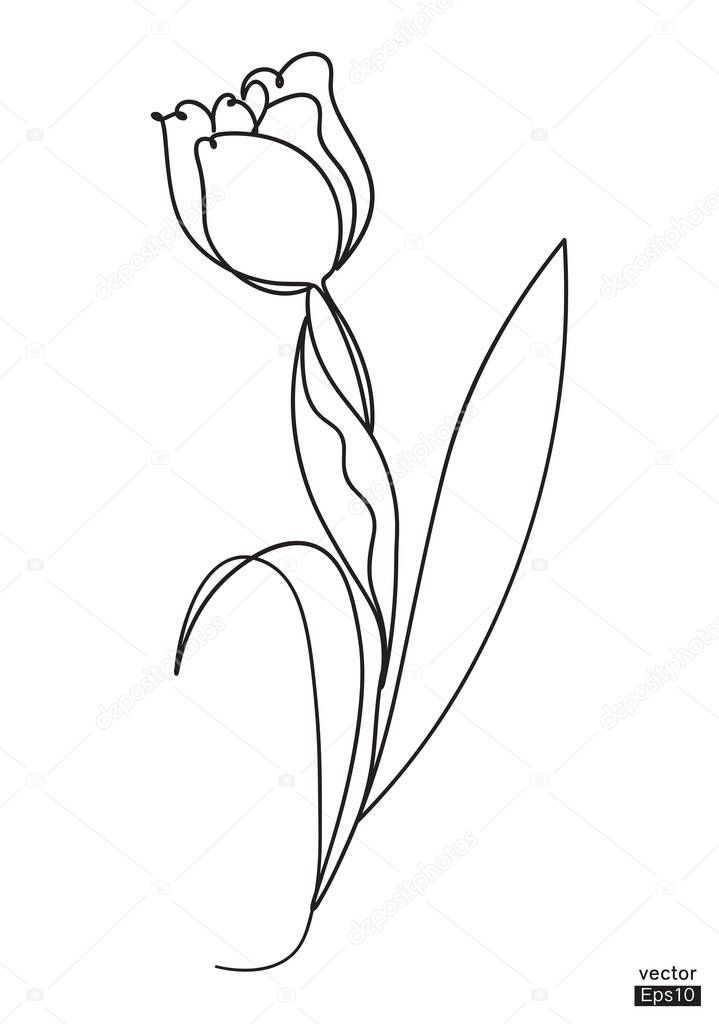 Abstract Tulip flower line continuous. Minimalist art. One line drawing. Continuous line drawing. Vector illustration,vector illustration for for t-shirt, cup and printing.