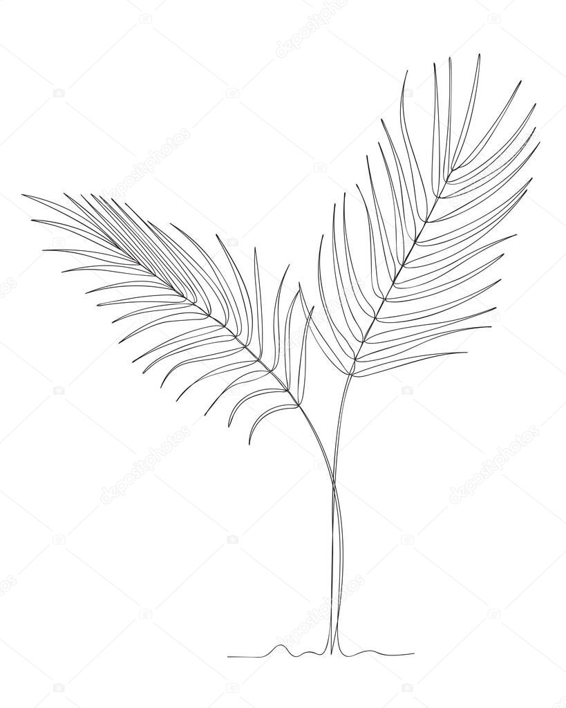 Tropical  green palm leaves  line continuous. Minimalist art. One line drawing. Continuous line drawing. Vector illustration,vector illustration for t-shirt ,printing.