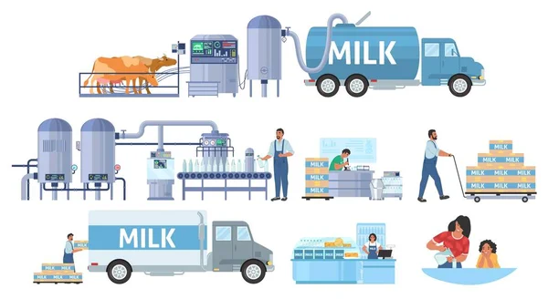 Infographie vectorielle de la production laitière. L'élevage bovin. Ligne de traitement d'usine laitière, distribution, vente. Industrie alimentaire. — Image vectorielle