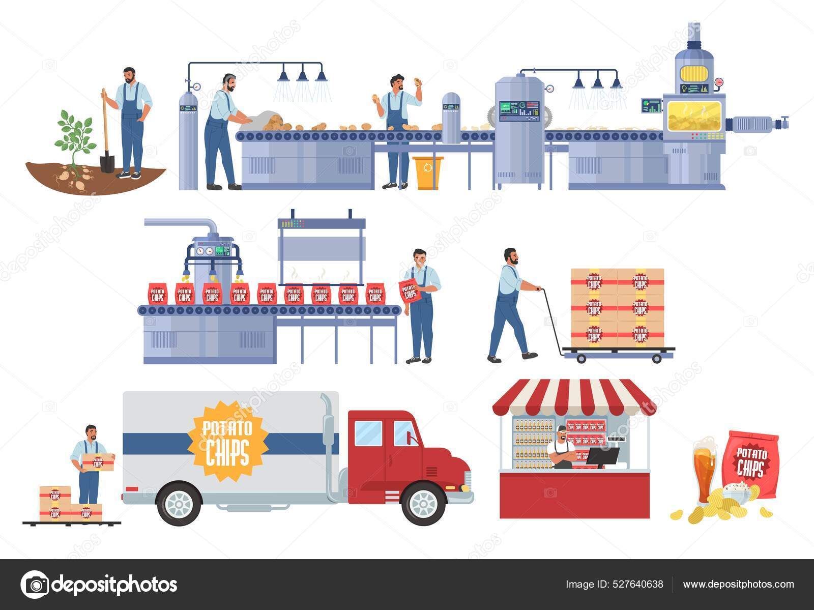Potato chips production vector infographic. Harvesting. Processing and