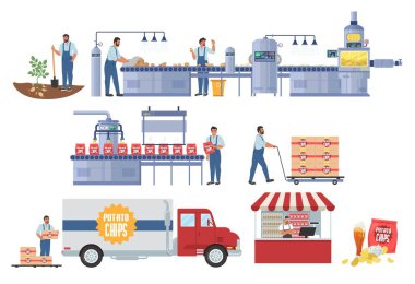 Patates cipsi üretim vektörü bilgisi. Hasat. İşlem ve paketleme hattı, dağıtım, satış. Gıda endüstrisi