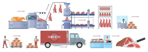 Viehzucht, Vektorgrafik zur Rindfleischproduktion. Fleischfabrikverarbeitungslinie, Vertrieb, Verkauf. Lebensmittelindustrie. — Stockvektor