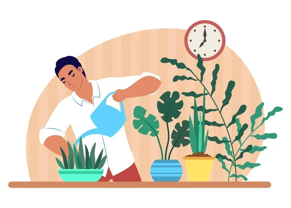 Man watering houseplants, vector illustration. Housework, household chores, housekeeping, hobby. — Stockvector
