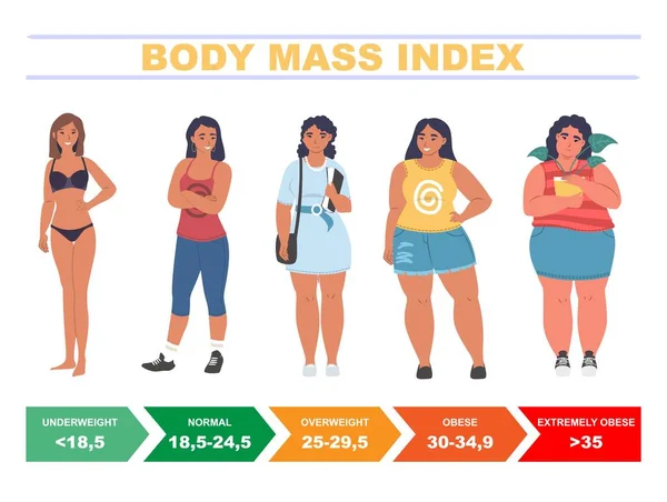 BMI pro ženy. Graf indexu tělesné hmotnosti založený na výšce a hmotnosti, plochý vektorový obrázek. — Stockový vektor