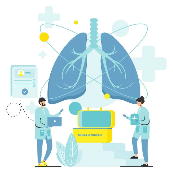 Human organ donor vector lung transplant donation —  Vetores de Stock