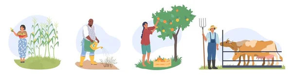 Granja Vida Escena Vector Conjunto Trabajador Jardinería Agricultura Recolectando Frutas — Vector de stock