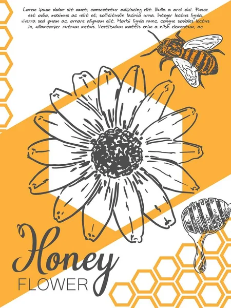 Vector Promo Card Design Honey Farm Advertisement Design Bee Flower — 图库矢量图片