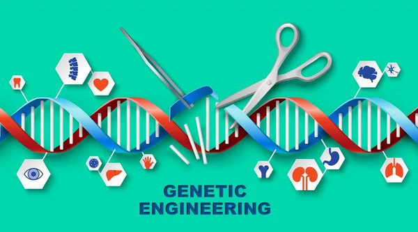 Genetic Engineering Vector Medical Poster Dna Human Gene Design Illustration —  Vetores de Stock