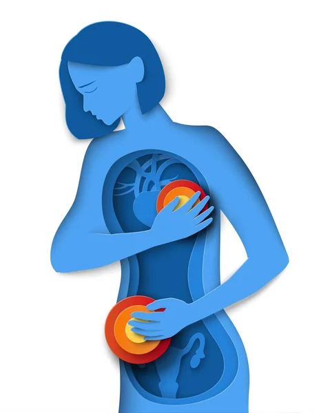 Woman Heart Ache Premenstrual Syndrome Paper Cut Origami Vector Illustration — Image vectorielle