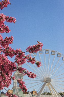 İlkbaharda kontrat bölgesi