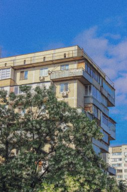     Baharda, leylaklar şehri süslüyor.