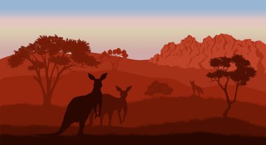 Avustralya manzarası. Kanguru siluetleri. Avustralya 'nın Savannah manzarası. Panoramik vahşi yaşam sahnesi. Vahşi doğa yaz alacakaranlığı. Vektör illüstrasyonu