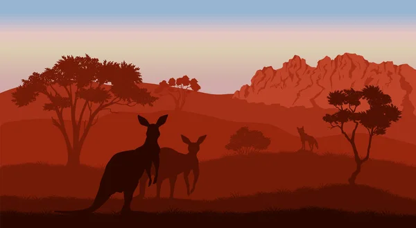 Australian Landscape Kangaroo Silhouettes Savannah Scenery Australia Panoramic Wildlife Scene — Stock Vector