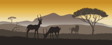 Afrika manzarası. Savana vahşi doğasının manzarası. Afrika 'nın doğası. Safari sahnesi olan bir seyahat posteri. Vahşi hayatta aslan ve antiloplar. Vektör illüstrasyonu