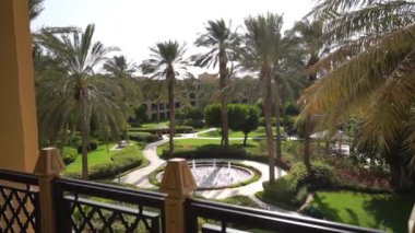 Pencereden palmiye ağaçlarının görünümü