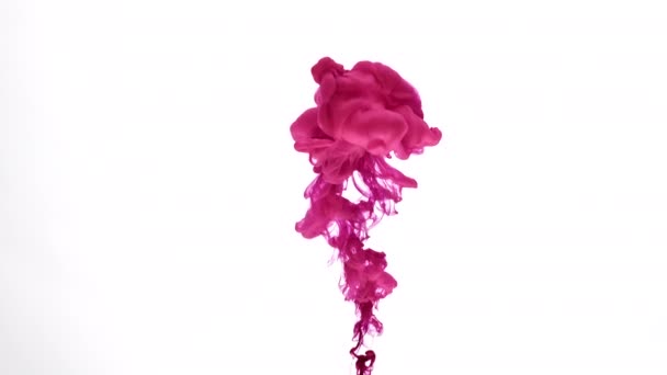 Explosión de pintura de color fucsia — Vídeos de Stock