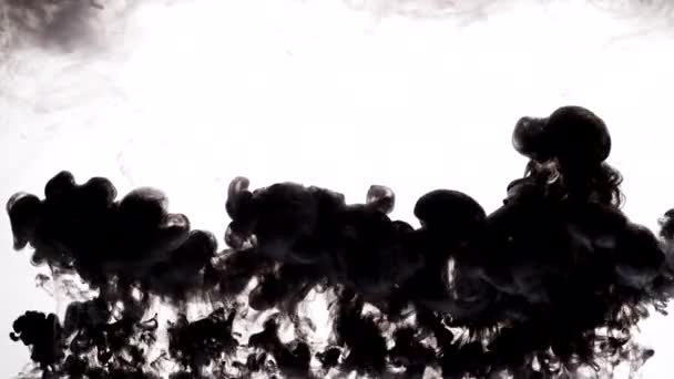 Nuvem de tinta de cor preta — Vídeo de Stock