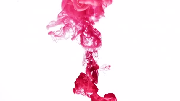 Bright fuchsia paint in water — Stock Video