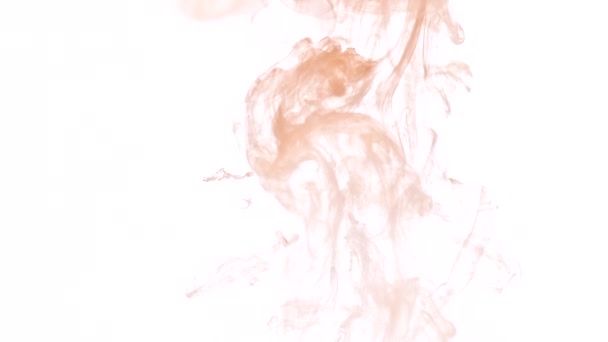 Flujos de pintura rosa pálida — Vídeos de Stock
