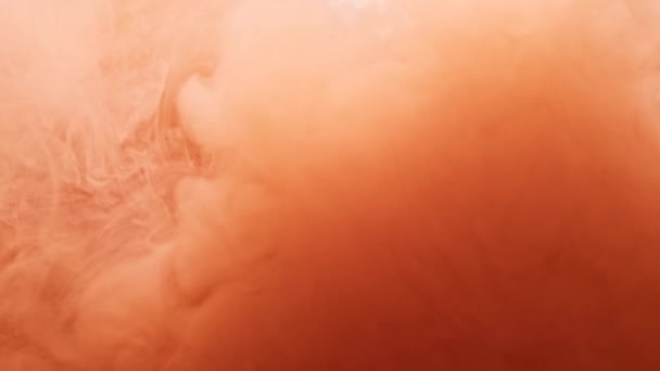 Nube di vernice scarlatta pallida in acqua — Video Stock