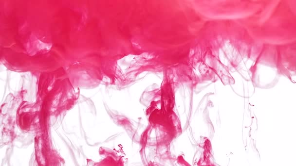 Flujos de pintura de color rosa — Vídeos de Stock