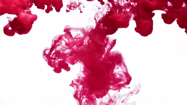 Swirling flows of fuchsia paint — Stock Video