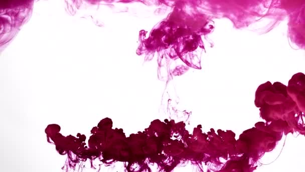 Wolk van fuchsia kleur inkt — Stockvideo