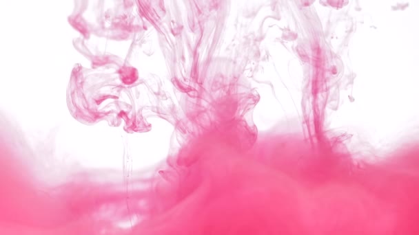Salpicaduras suaves de pintura rosa — Vídeos de Stock