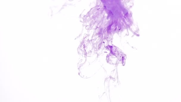 紫色の薄片 — ストック動画