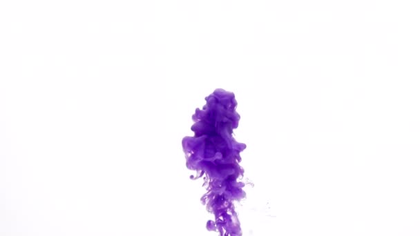 Elegant purple color paint — Stock Video