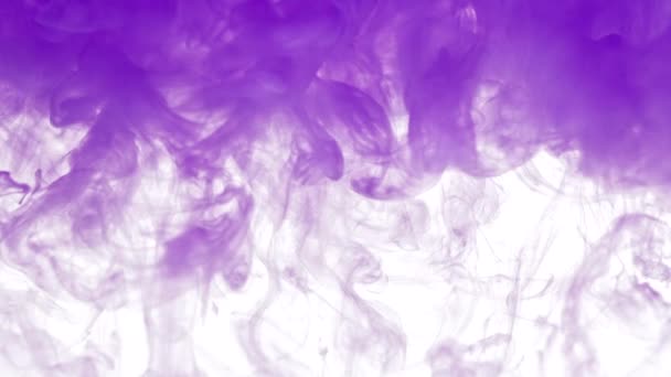 Nube de pintura púrpura con remolinos — Vídeos de Stock